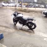 Alex pineda Profile Picture