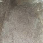 Mary gudi Profile Picture