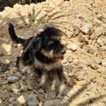 Fernando Saavedra Profile Picture