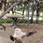 Jorge Trujillo Profile Picture