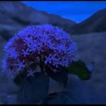 Clarita Velasquez Profile Picture