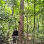 Edgar Saul Profile Picture