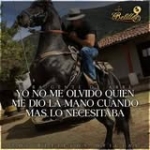 Manuel Luis Profile Picture