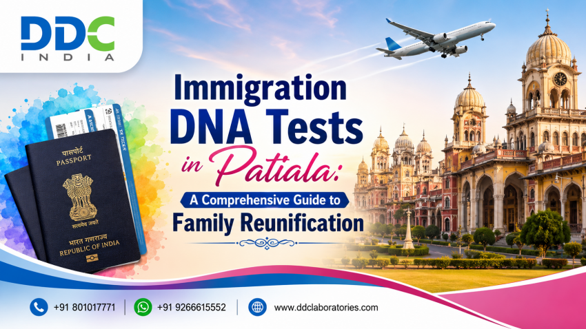Immigration DNA Tests in Patiala: A Comprehensive Guide to Family Reunification | daddycow.com