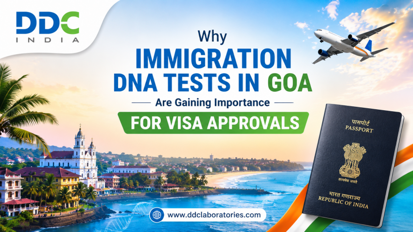 Why Immigration DNA Tests in Goa Are Gaining Importance for Visa Approvals | daddycow.com
