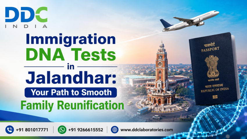 Immigration DNA Tests in Jalandhar: Your Path to Smooth Family Reunification | daddycow.com