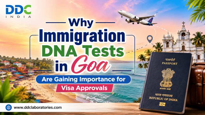 Why Immigration DNA Tests in Goa Are Gaining Importance for Visa Approvals | daddycow.com